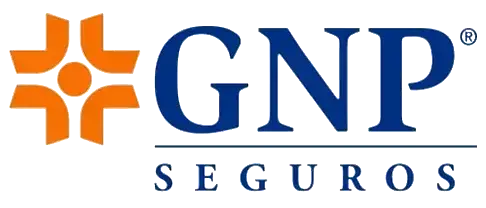 GNP